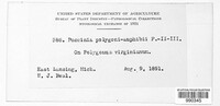 Image Associated With the Occurence